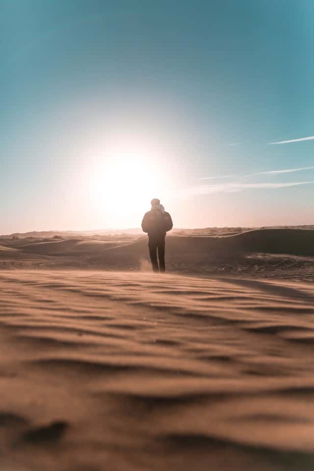 Journey album cover - a figure walking in a desert